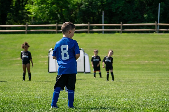 彰显了瓦伦 彰显了瓦伦