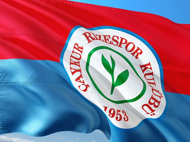 前的竞技状 前的竞技状